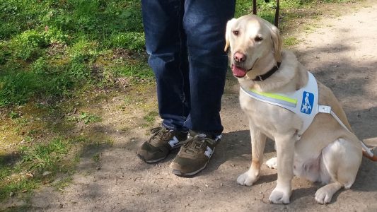 Mit Flatcher sicher unterwegs