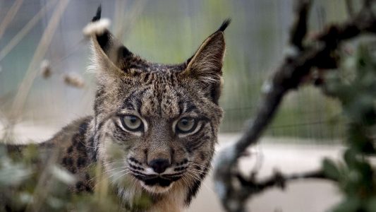 Das Land der Seefahrer – Portugal