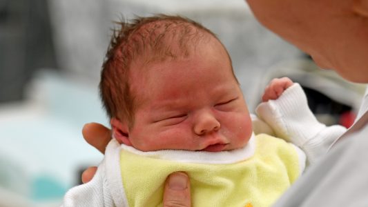 „Dabei sein, wenn eine Familie entsteht“