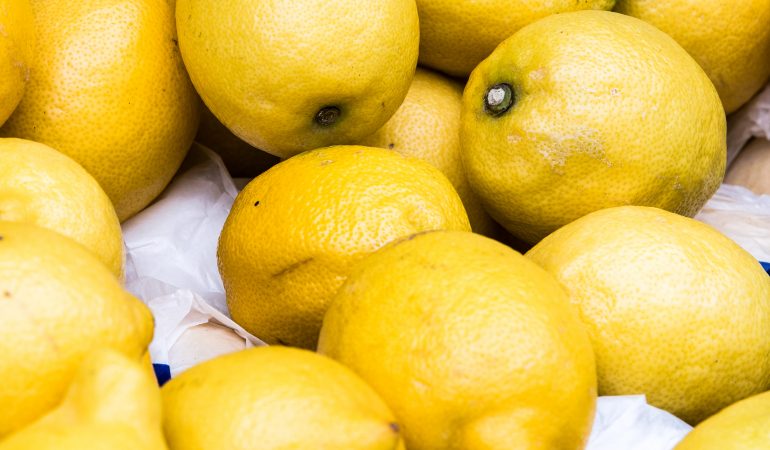 Helfer für starke Knochen und gute Augen – Vitamine