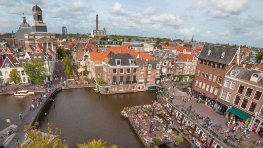 Mit Tulpen bezahlen – Niederlande