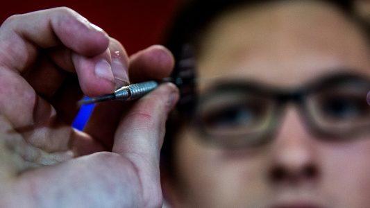 Schnelle Pfeile und Strandkühe