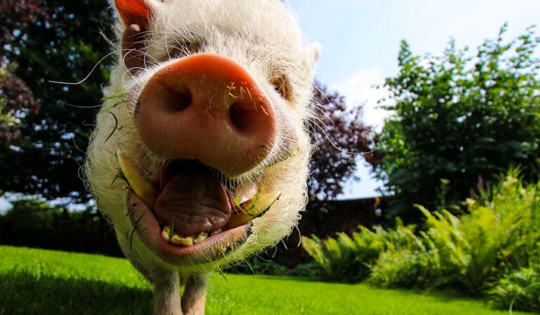 Darf ich dir helfen?