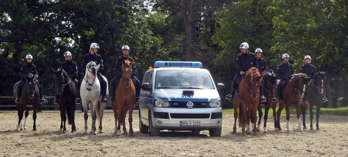 Polizeipferde müssen immer schön cool bleiben