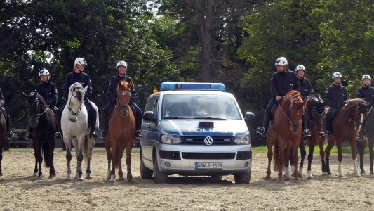 Polizeipferde müssen immer schön cool bleiben