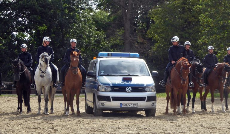 Polizeipferde müssen immer schön cool bleiben