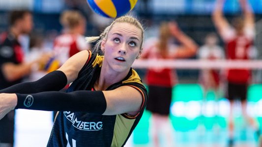 Schmetterlinge wollen gewinnen