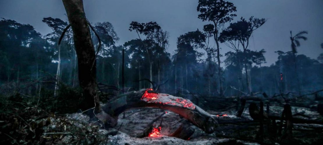 Feuer im Regenwald beeinflussen Klimawandel