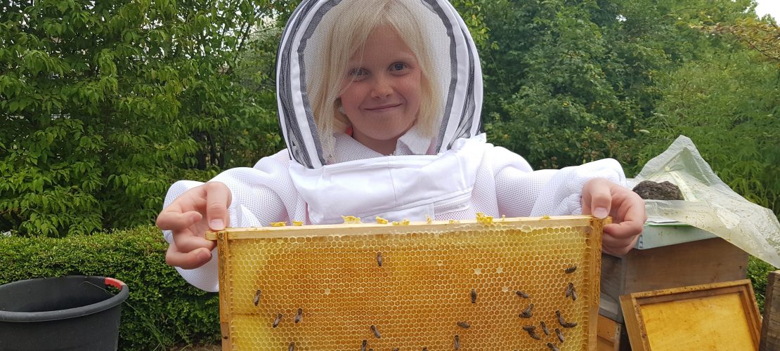 Milla nimmt dich mit zu den Bienen