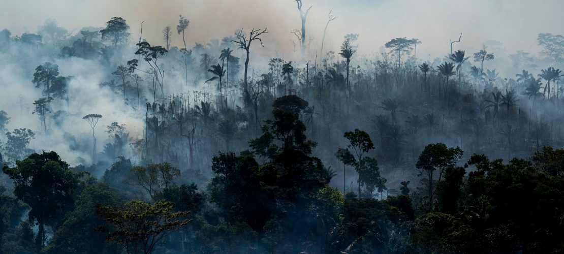 „Ein Vorhang aus Rauch und Feuer“