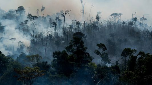 „Ein Vorhang aus Rauch und Feuer“