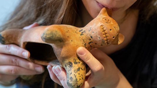 Tasten, Saiten und Stimmbänder