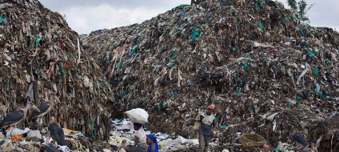 Eine Welt frei von Furcht, Not und Armut