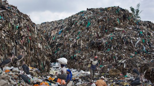 Eine Welt frei von Furcht, Not und Armut