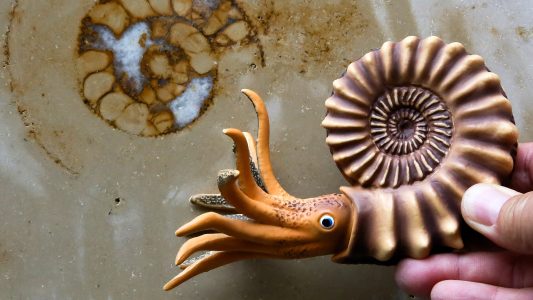 Die Kölner Vorfahren der Dinos