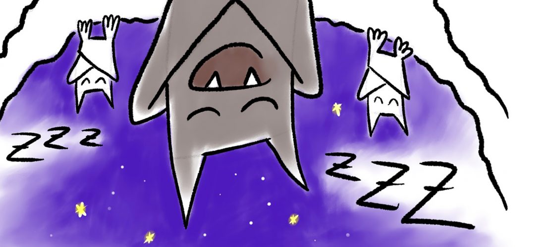 Schlaft schön, Fledermäuse!