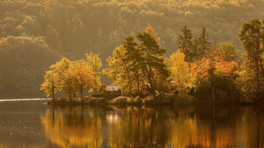 24 Türchen voller Natur – Dudas Adventskalender