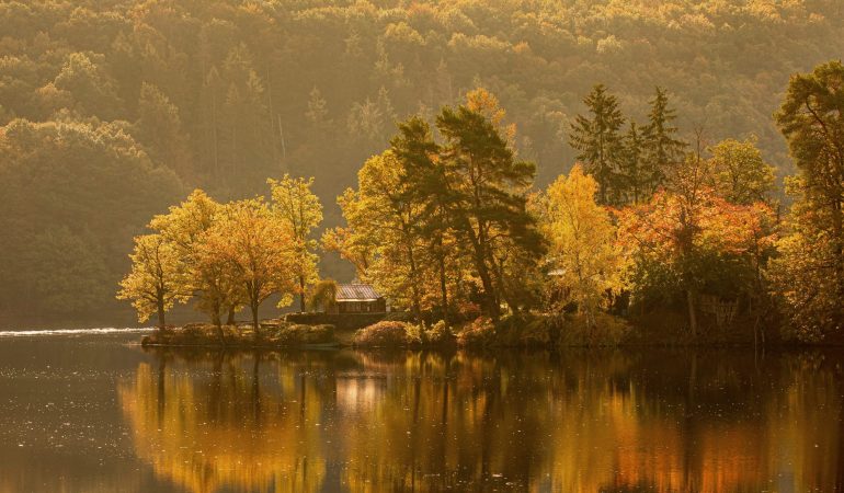 24 Türchen voller Natur – Dudas Adventskalender