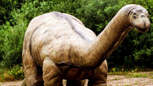 Schwer wie sechs Elefanten