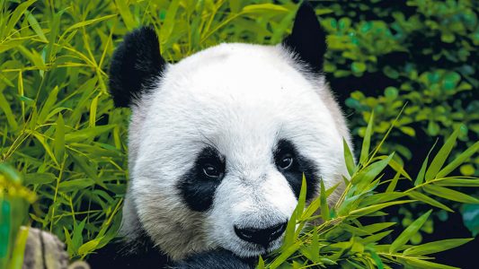 Keine kalten Füße!