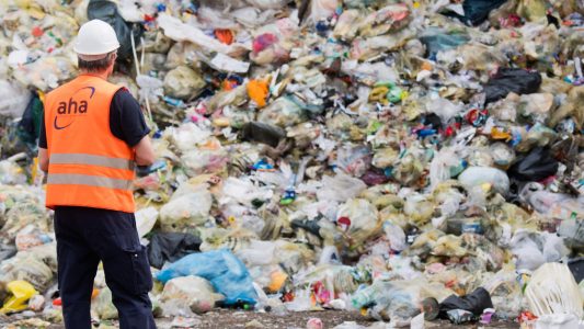 Tiere fressen Tüten