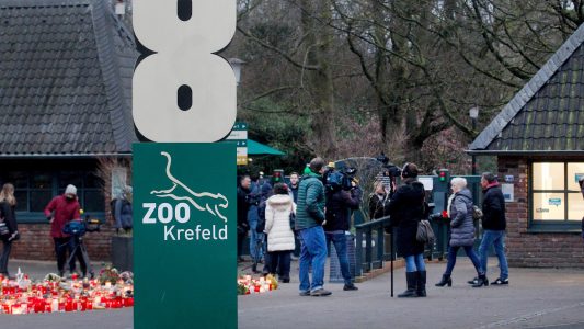 Krefelder Zoo hat nach Brand wieder geöffnet