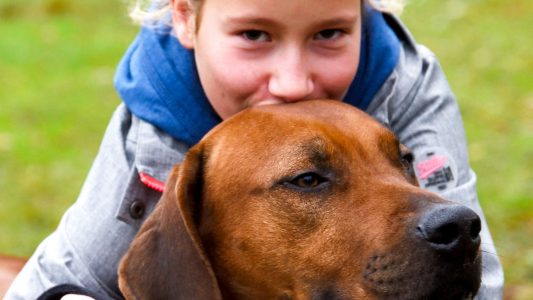 So gehen Kinder richtig und gut mit Hunden um