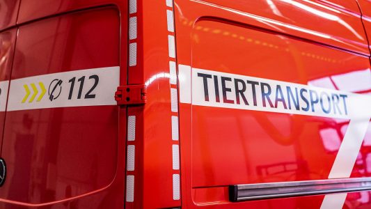 Tatüta … Tierfeuerwehr