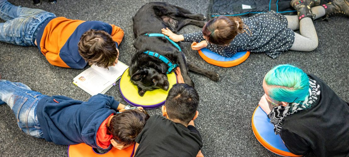 Lesen lernen mit Hund
