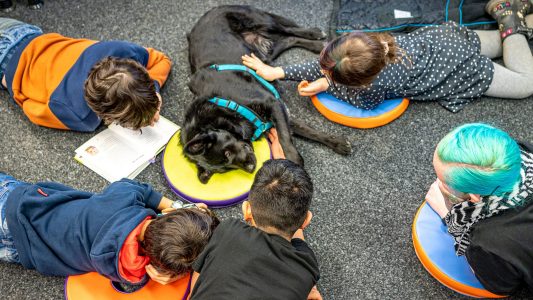 Ein Hund der lesen kann