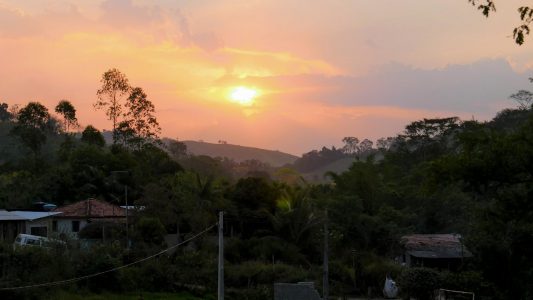 Kein Wasser im Regenwald