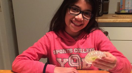 Viel Spaß beim Händewaschen