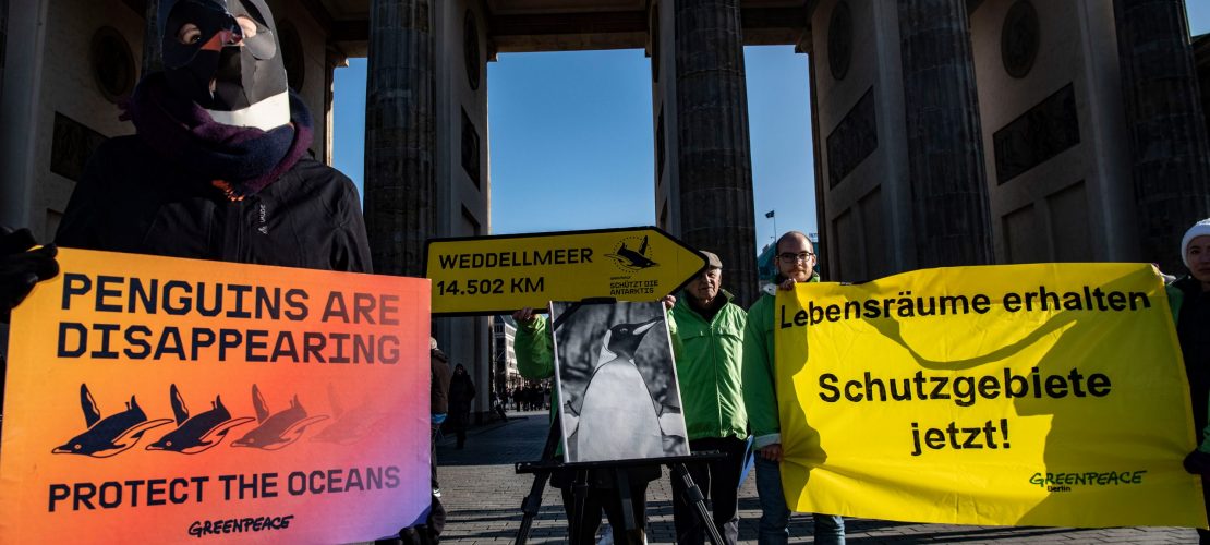 Für Menschen, für Tiere oder fürs Klima