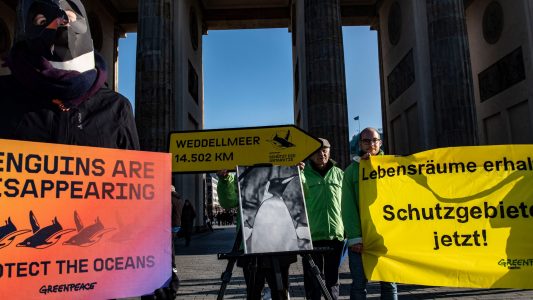 Für Menschen, für Tiere oder fürs Klima