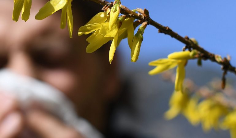 Haaaaaaatschi! – Pflanzen, Blüten, Gräser