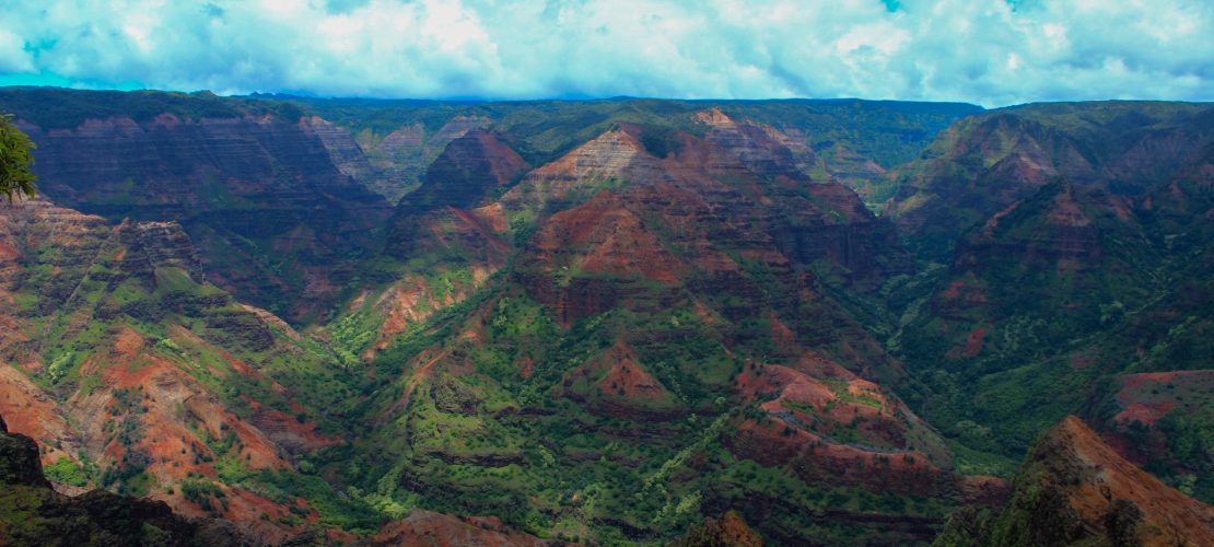 Eine Insel wie ein riesiger Garten