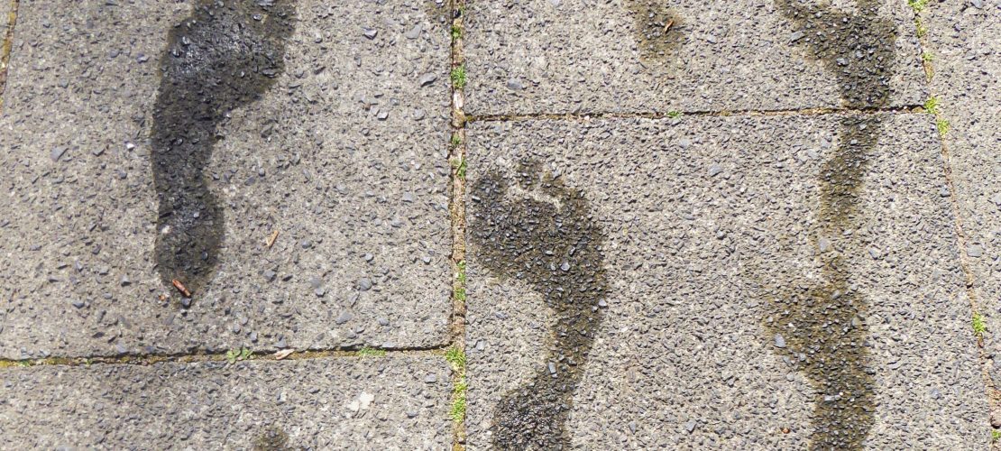 Leben auf großem Fuß 