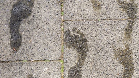 Leben auf großem Fuß 