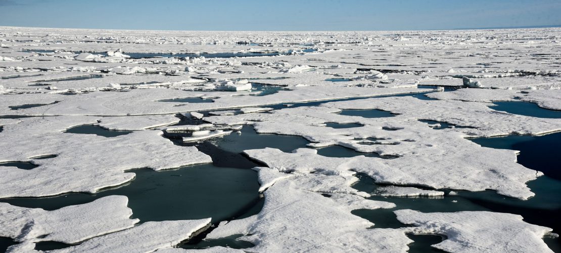Balance auf der Eisscholle