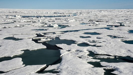 Balance auf der Eisscholle