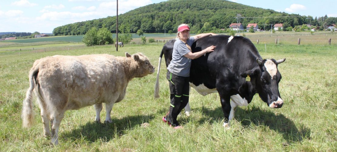 Ein Altersheim für Tiere
