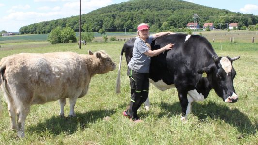 Ein Altersheim für Tiere