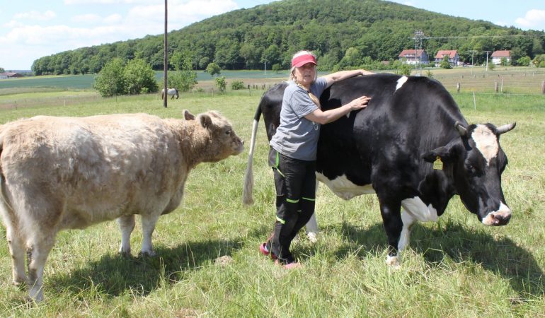 Ein Altersheim für Tiere