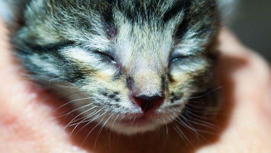 Eine in jedem vierten Haushalt