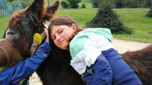 Campen bei den wilden Eseln