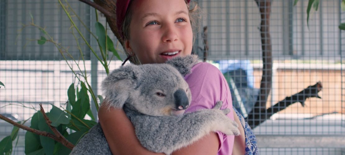 Junge Koala-Flüsterin