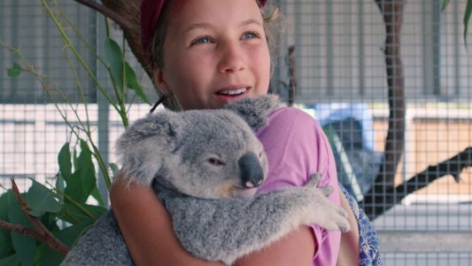 Junge Koala-Flüsterin