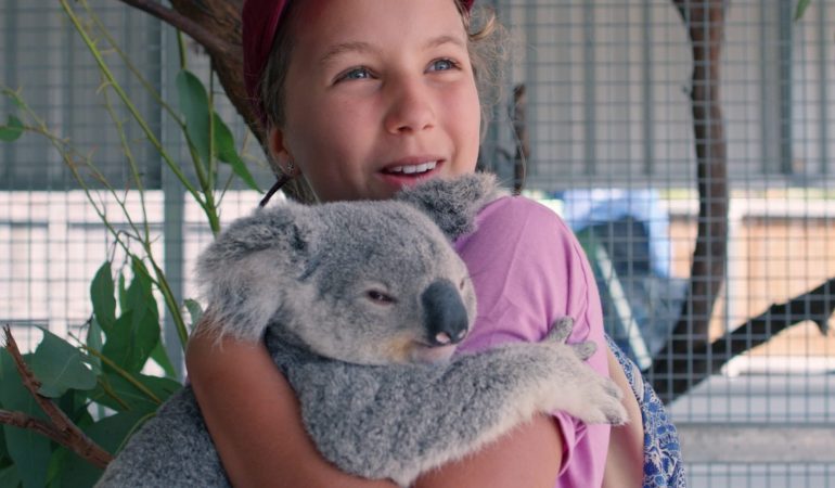 Junge Koala-Flüsterin