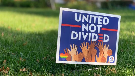 Wahlplakate im Vorgarten