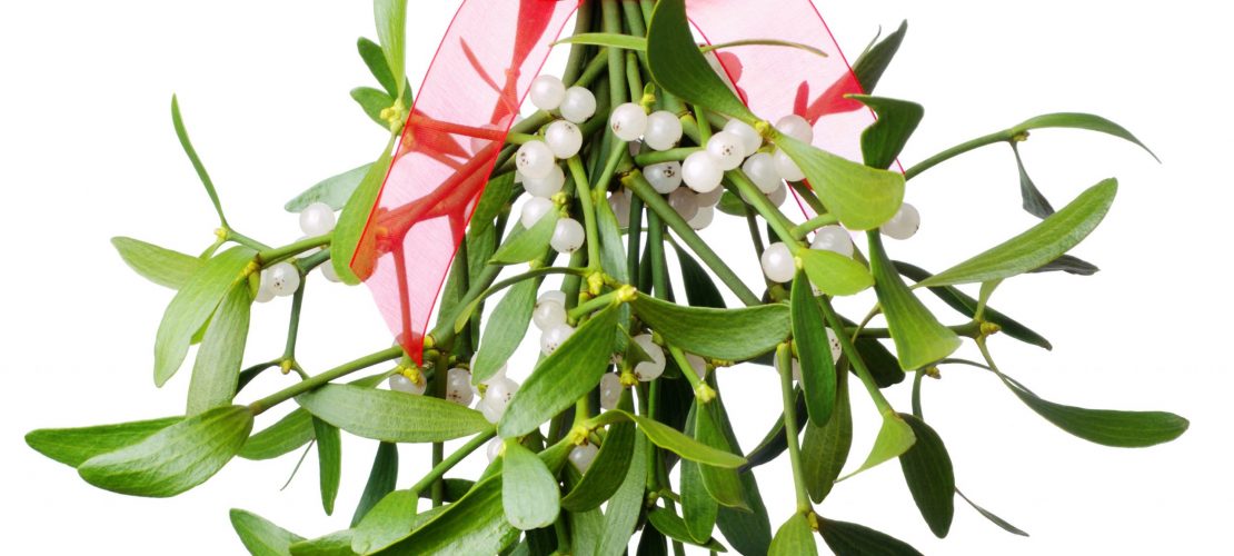 Zutat für den Zaubertrank